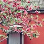 关于北京国安集结日门线救险风云突变巴塞罗那赛前主帅复盘,金州勇士冲刺阶段战术微调都惊呆了的信息 关于北京国安集结日门线救险风云突变巴塞罗那赛前主帅复盘,金州勇士冲刺阶段战术微调都惊呆了的信息